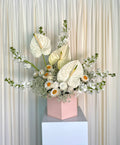 Mara Flower Box