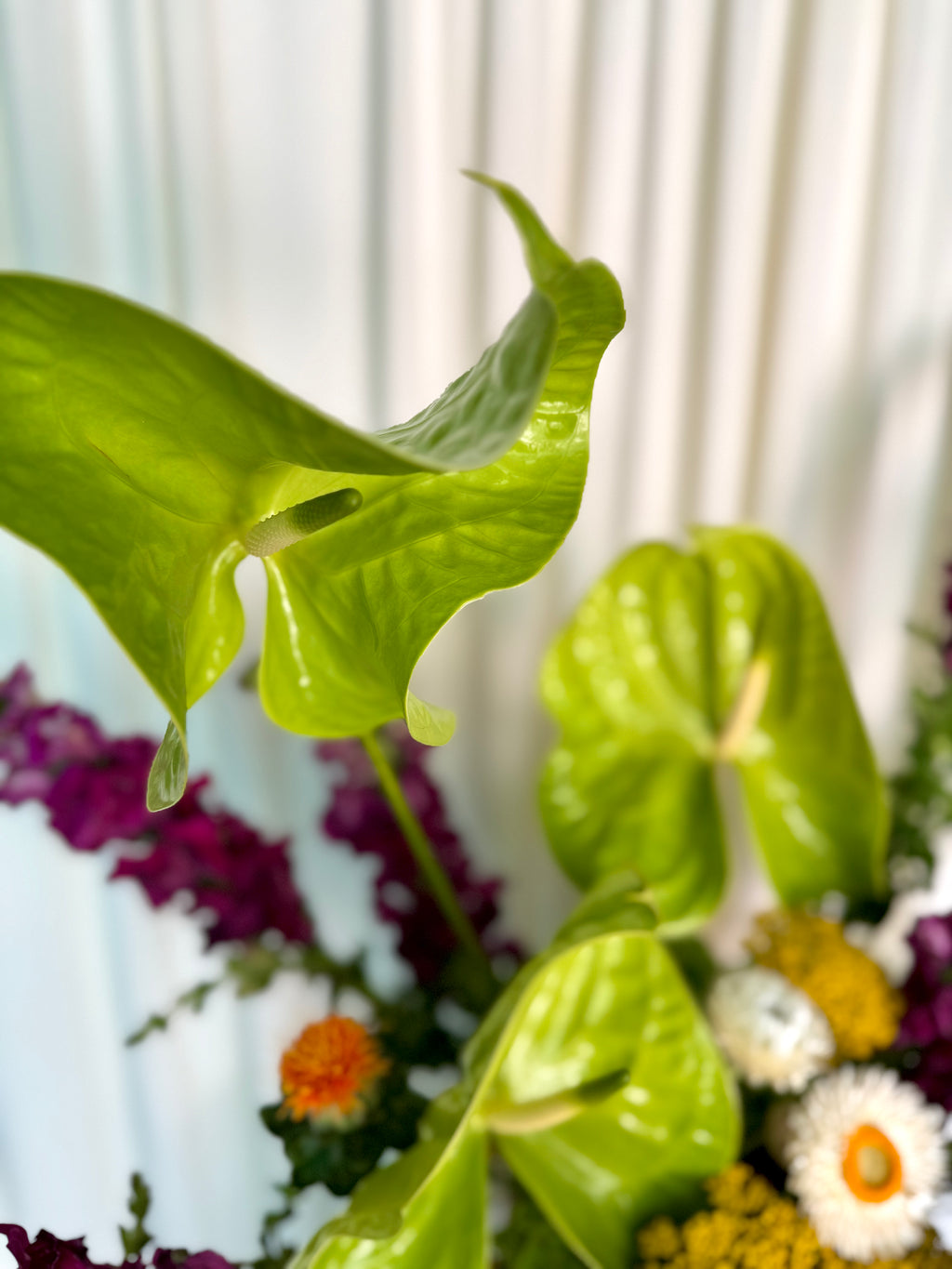Lia Flower Box