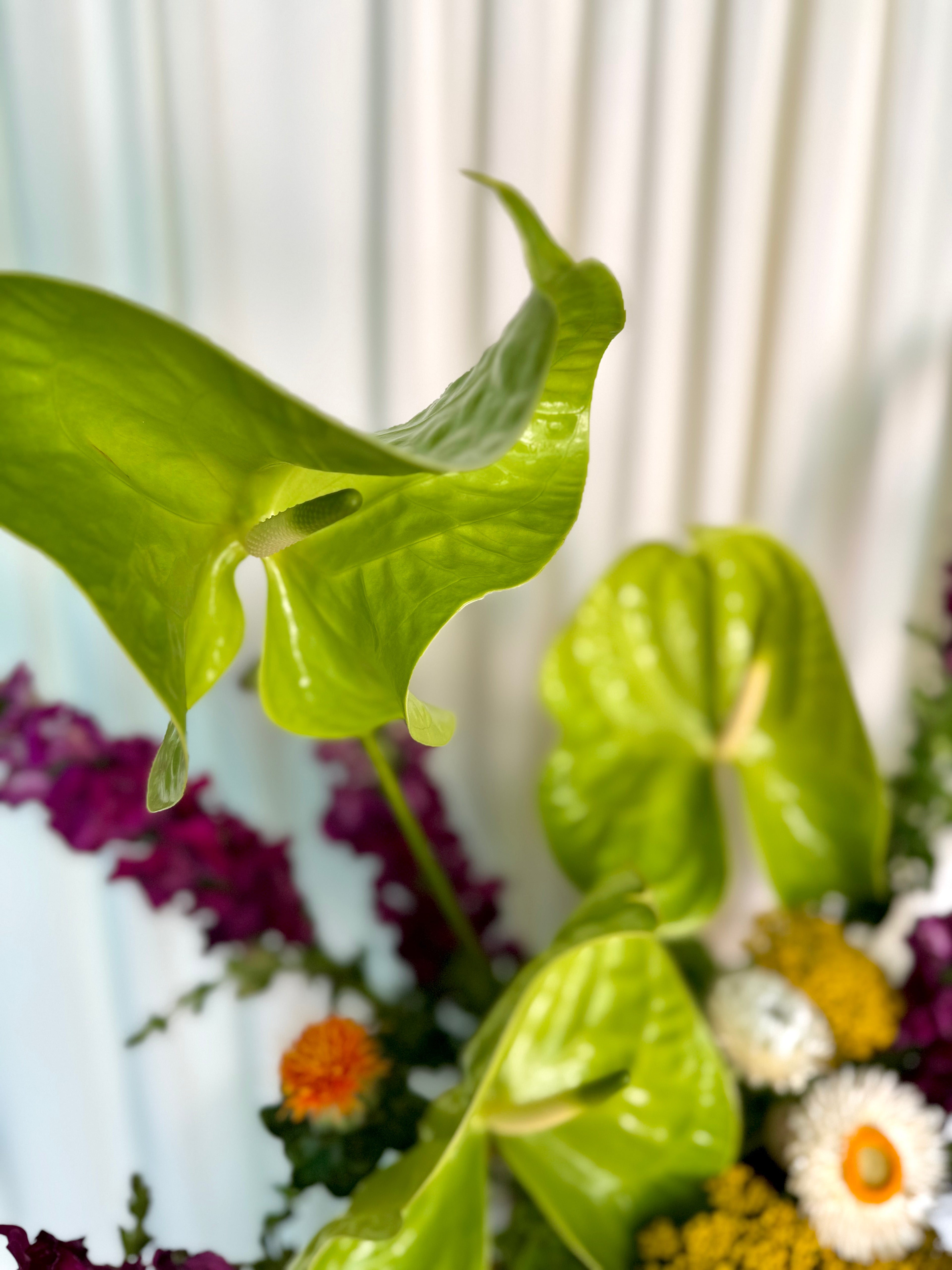 Lia Flower Box